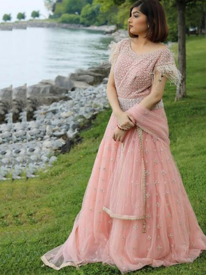 Light Pink Flare Gown in Net with ...